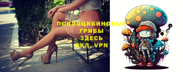 a pvp Беломорск